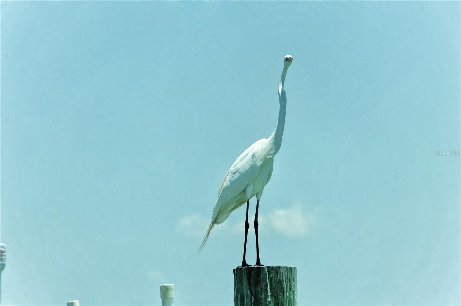 Image 3 of 5 For 6040 Boca Grande Causeway 5