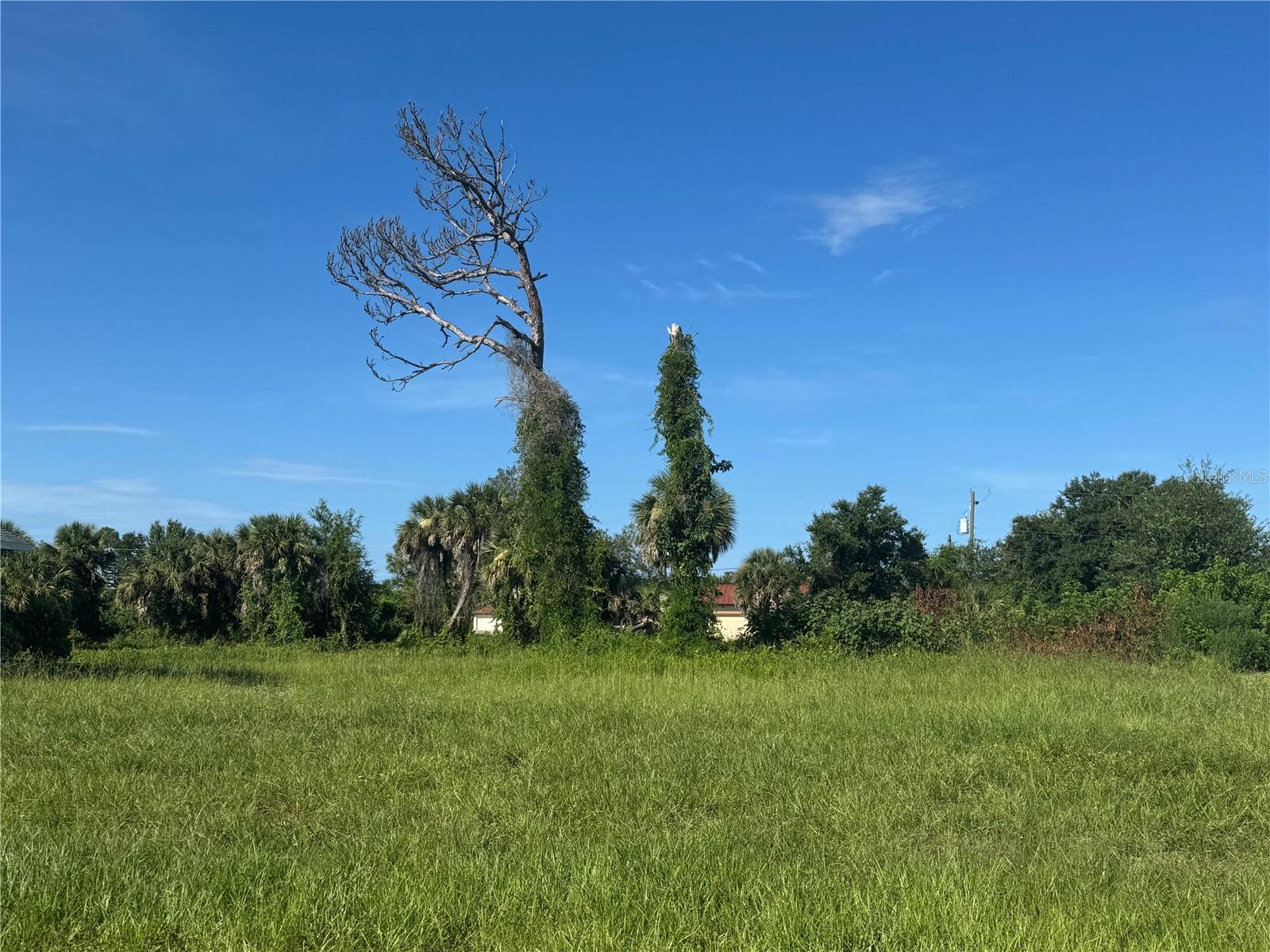 Image 3 of 21 For 263 White Marsh Lane