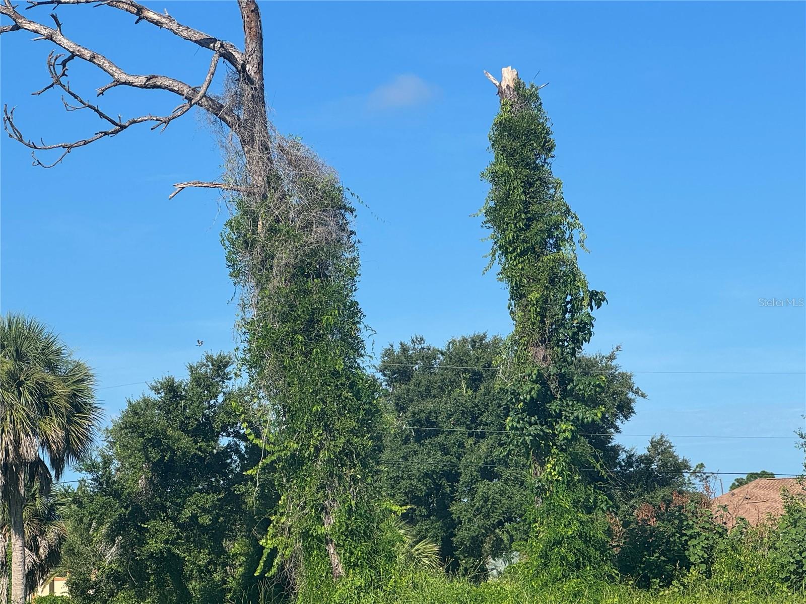 Image 4 of 21 For 263 White Marsh Lane