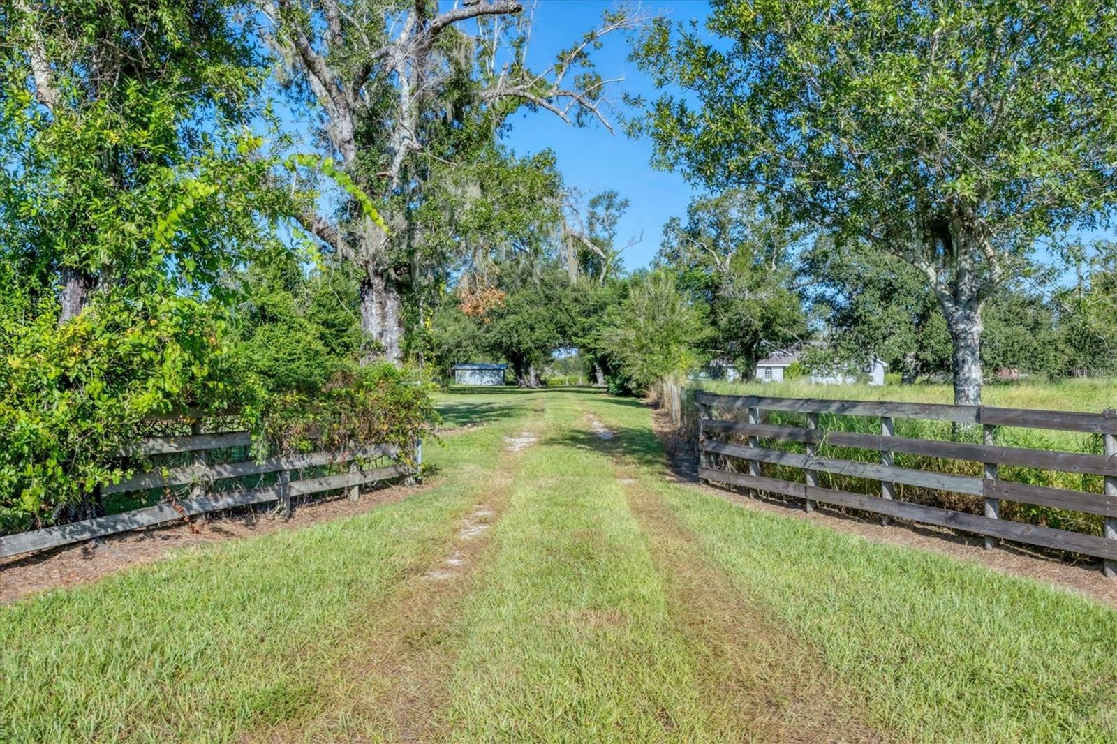 Image 51 of 53 For 3193 County Road 661