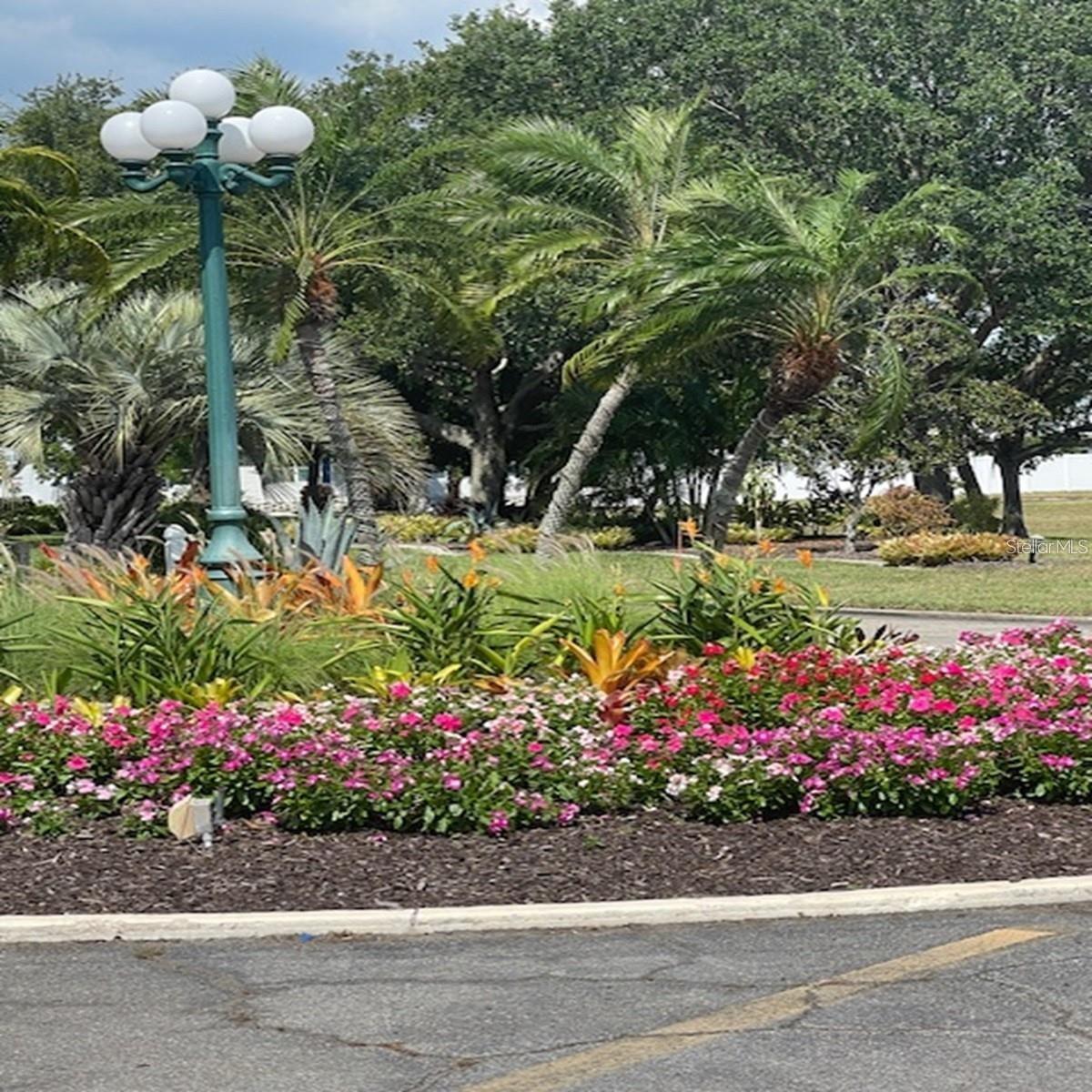 Image 4 of 24 For 706 Roma Road