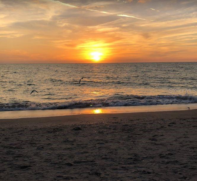 Image 68 of 72 For 9944 Winnipeg Street