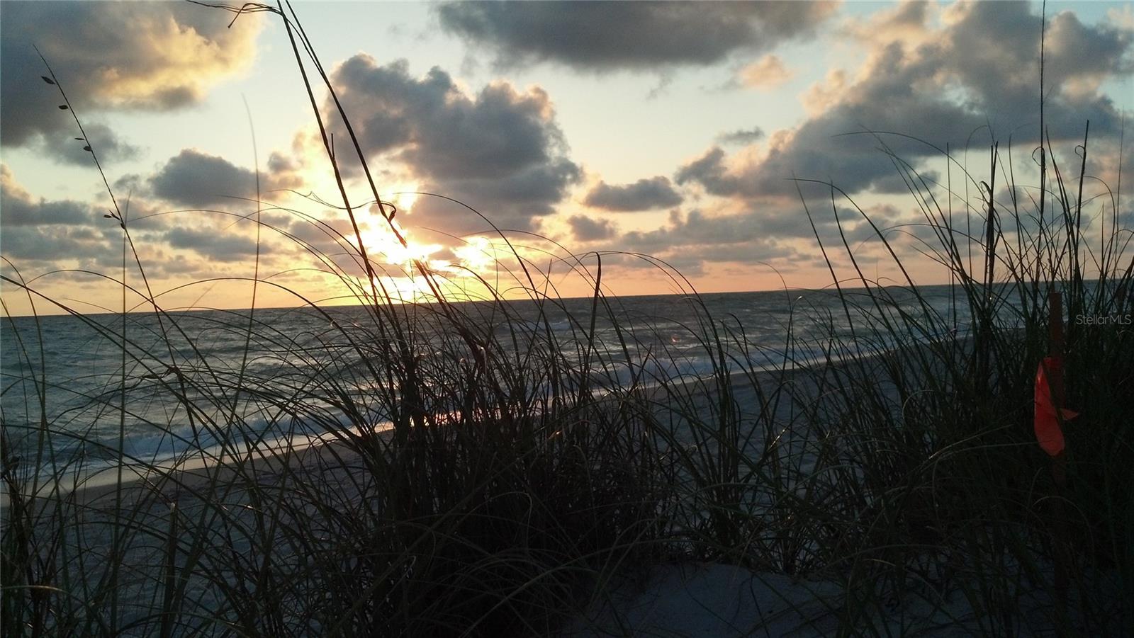 Image 52 of 100 For 1200 Seahorse Lane