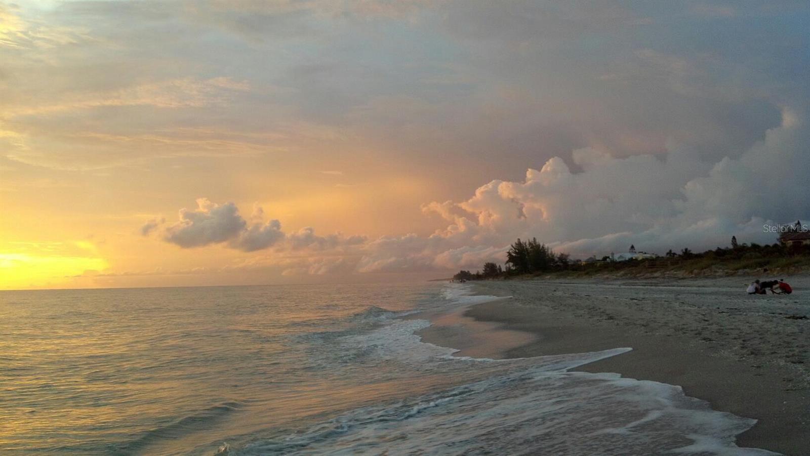 Image 56 of 100 For 1200 Seahorse Lane