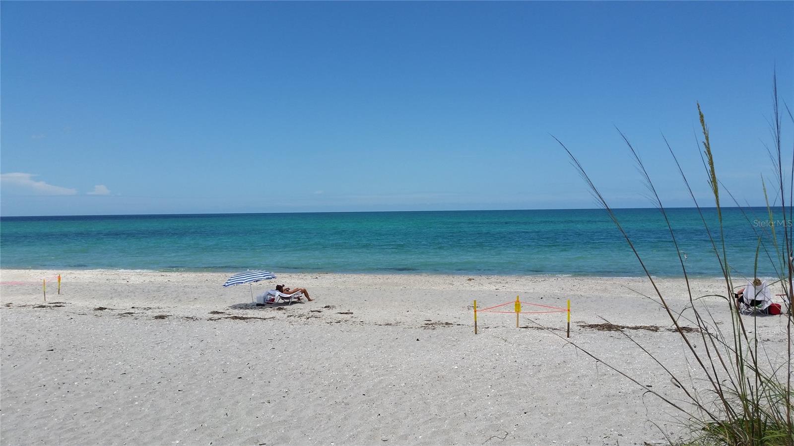 Image 60 of 100 For 1200 Seahorse Lane