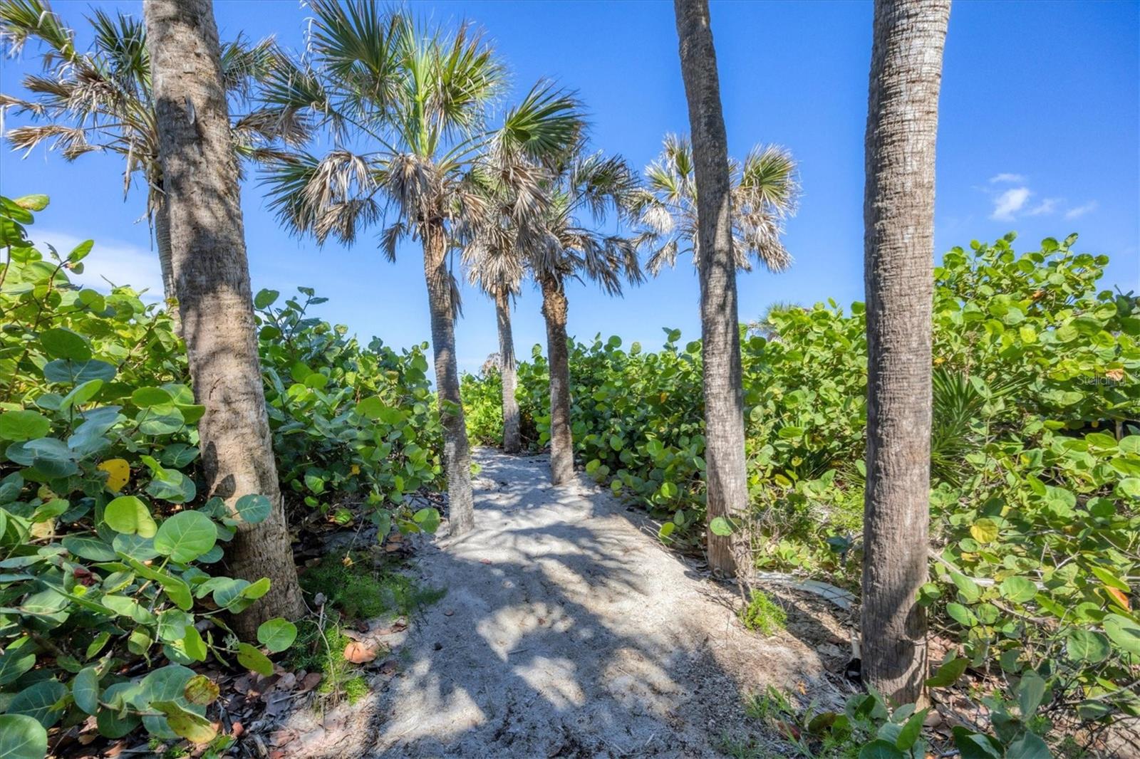 Image 84 of 92 For 8285 Manasota Key Road