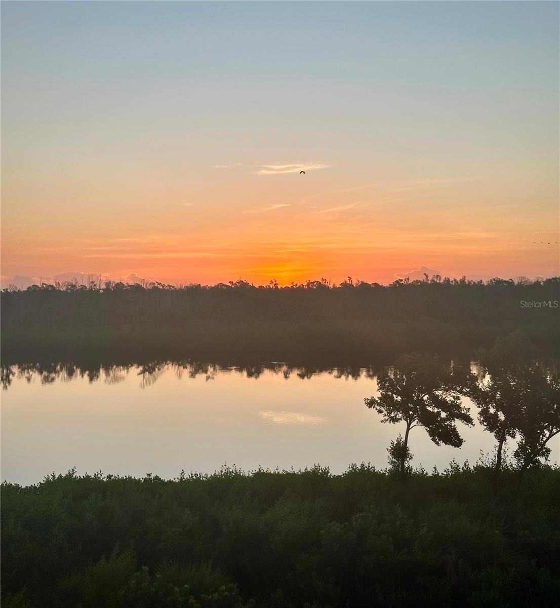 Image 97 of 98 For 10350 Longshore Road 61