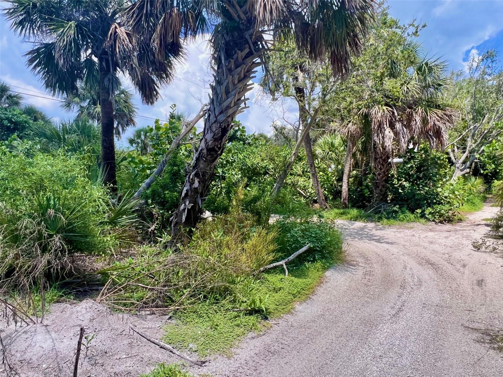 Image 2 of 16 For 8132 Little Gasparilla Island