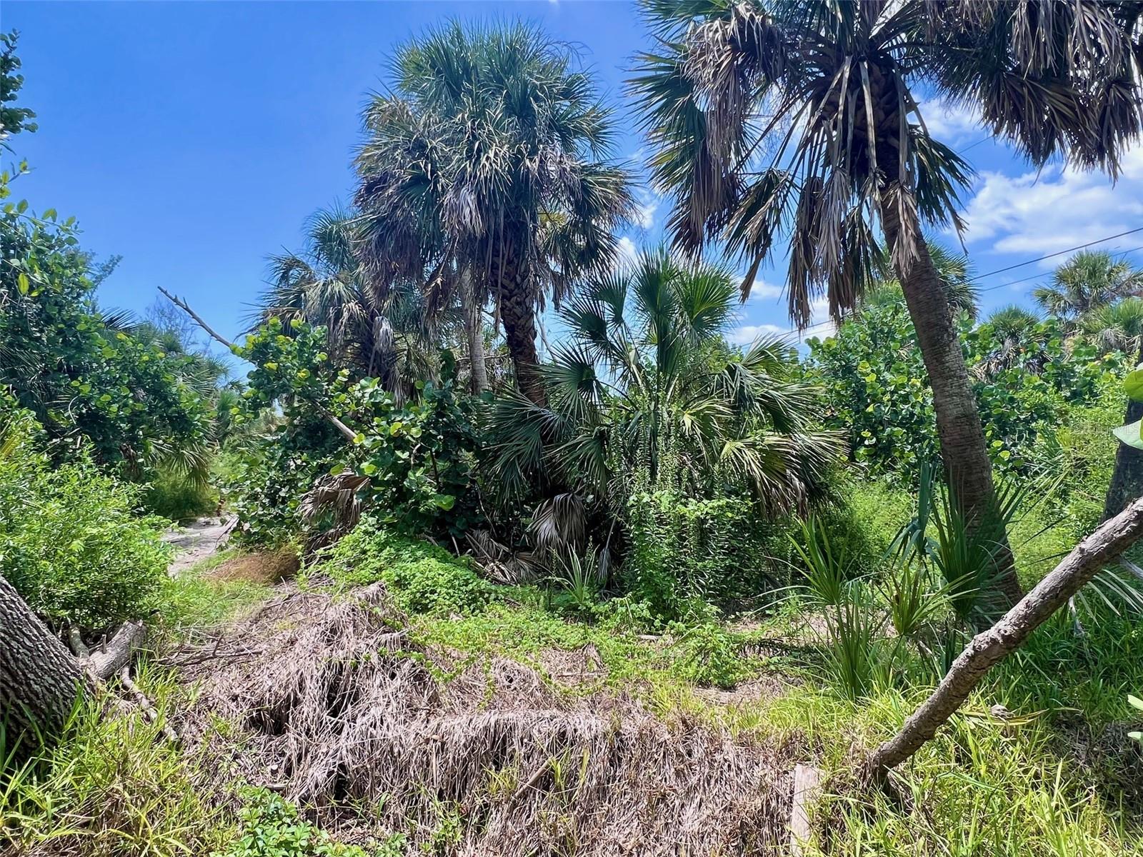Image 3 of 16 For 8132 Little Gasparilla Island