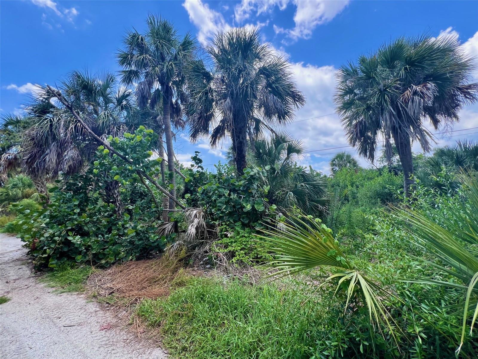 Image 4 of 16 For 8132 Little Gasparilla Island