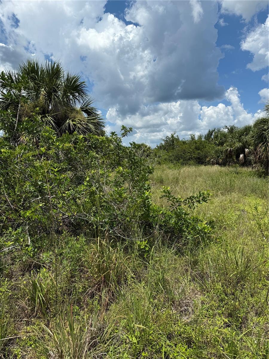 Image 4 of 9 For 14194 And 14202 Barnwood Lane