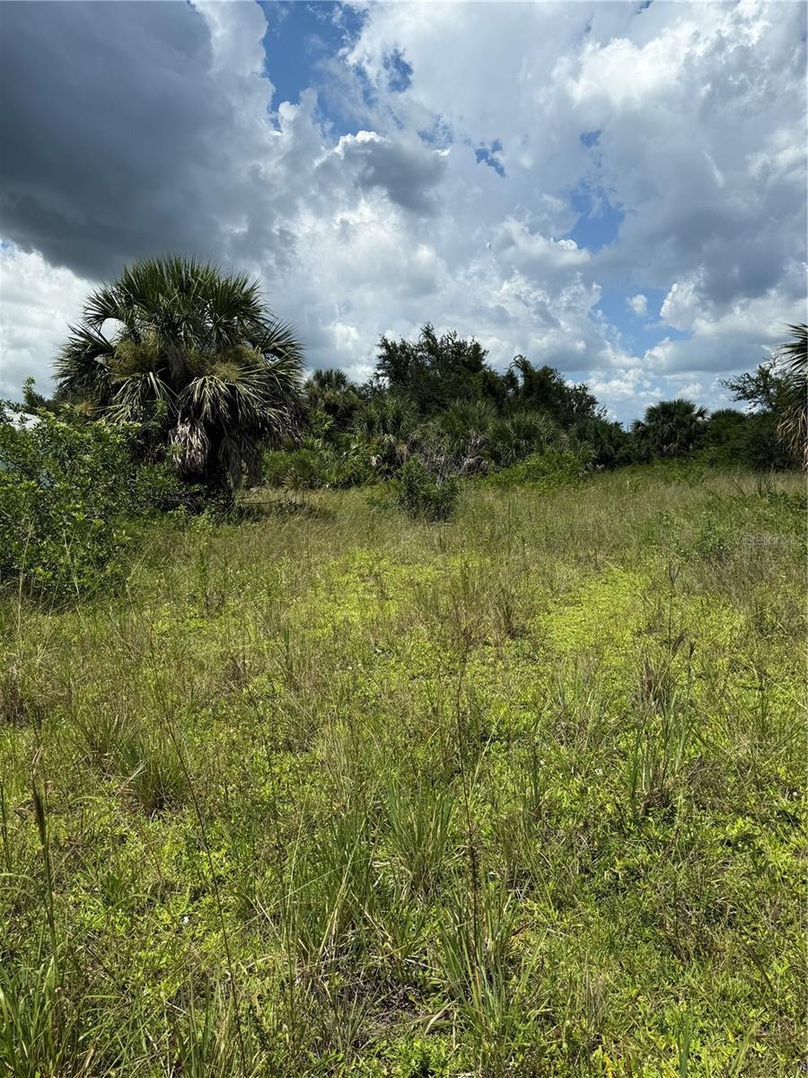 Image 5 of 9 For 14194 And 14202 Barnwood Lane