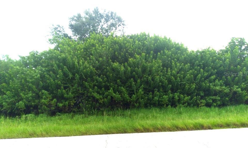 Image 5 of 8 For 7310 David Boulevard