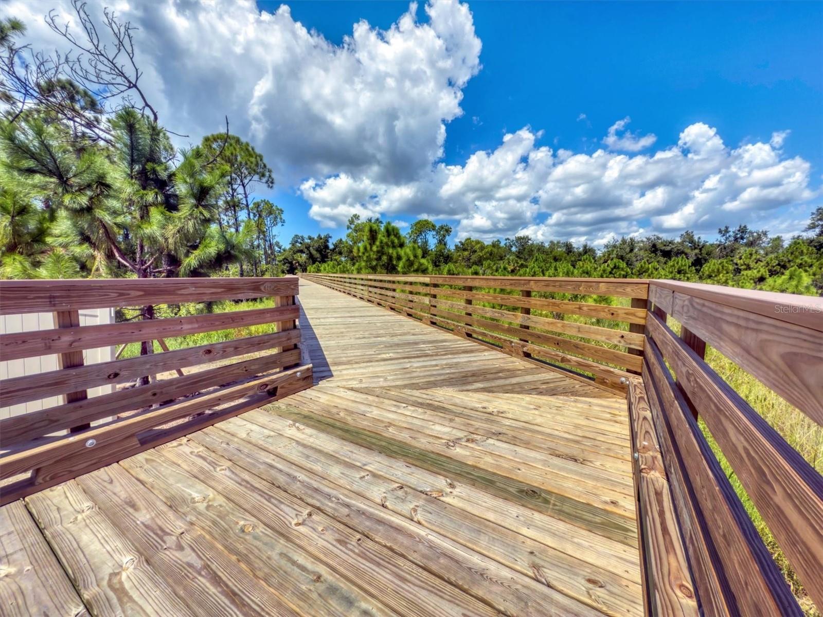 Image 74 of 79 For 9001 Gasparilla Road 22