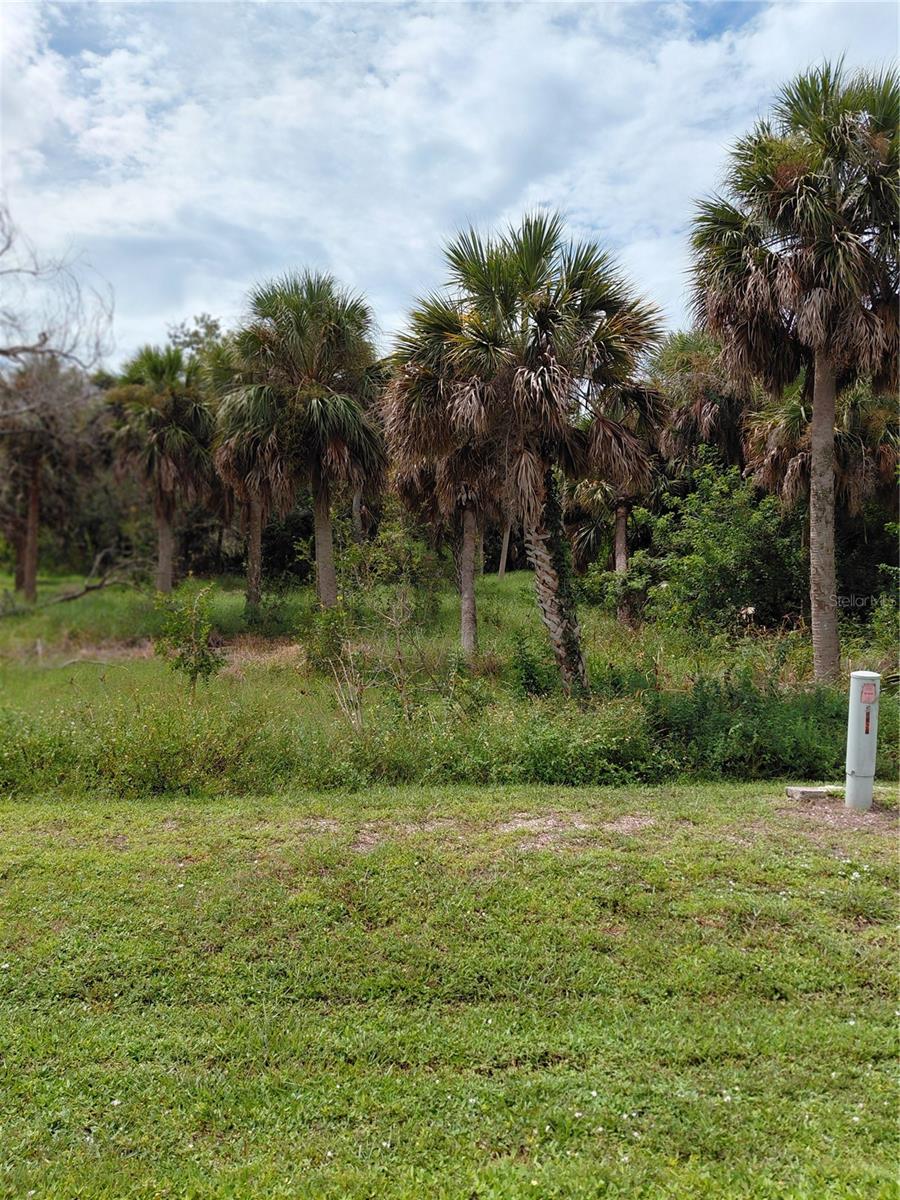 Image 4 of 19 For 10141 Creekside Drive