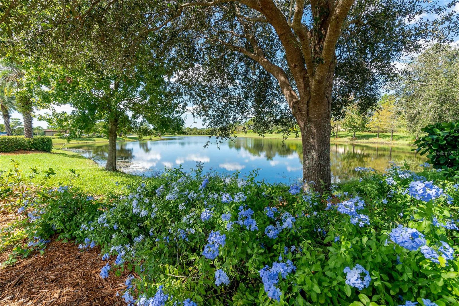 Image 64 of 66 For 13873 Alafaya Street