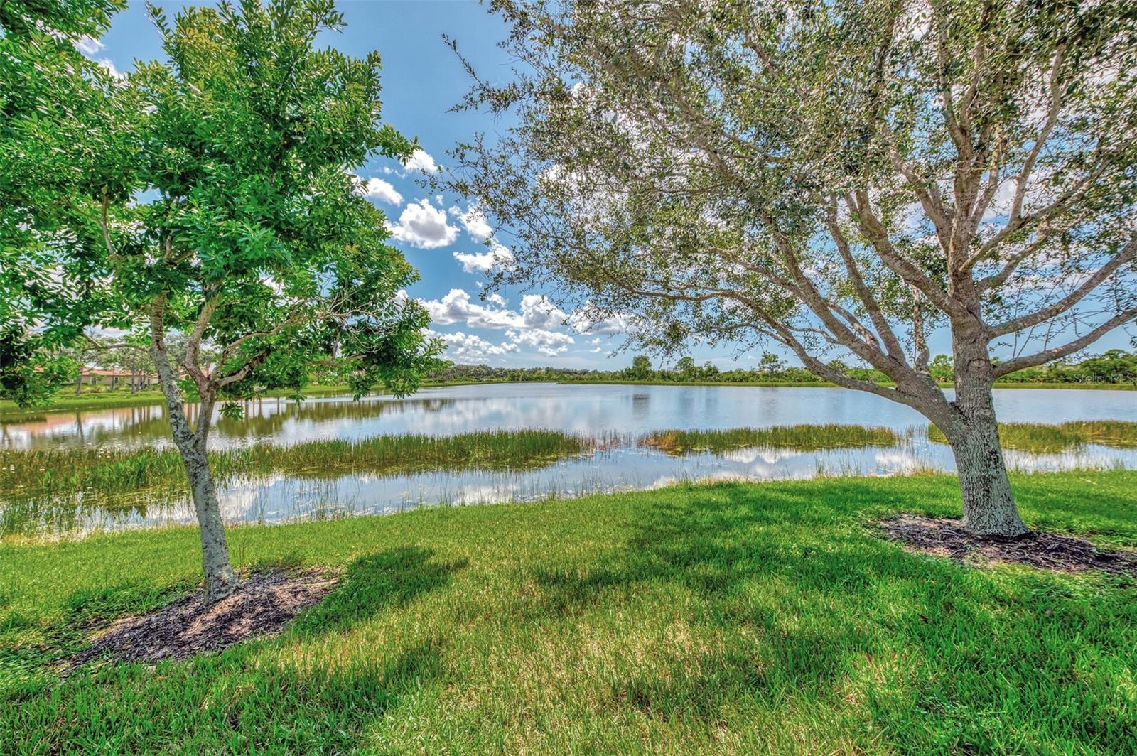 Image 52 of 100 For 23633 Copperleaf Drive