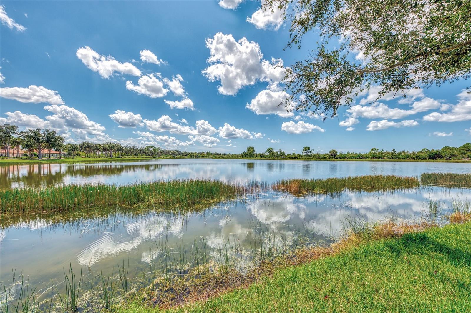 Image 53 of 100 For 23633 Copperleaf Drive
