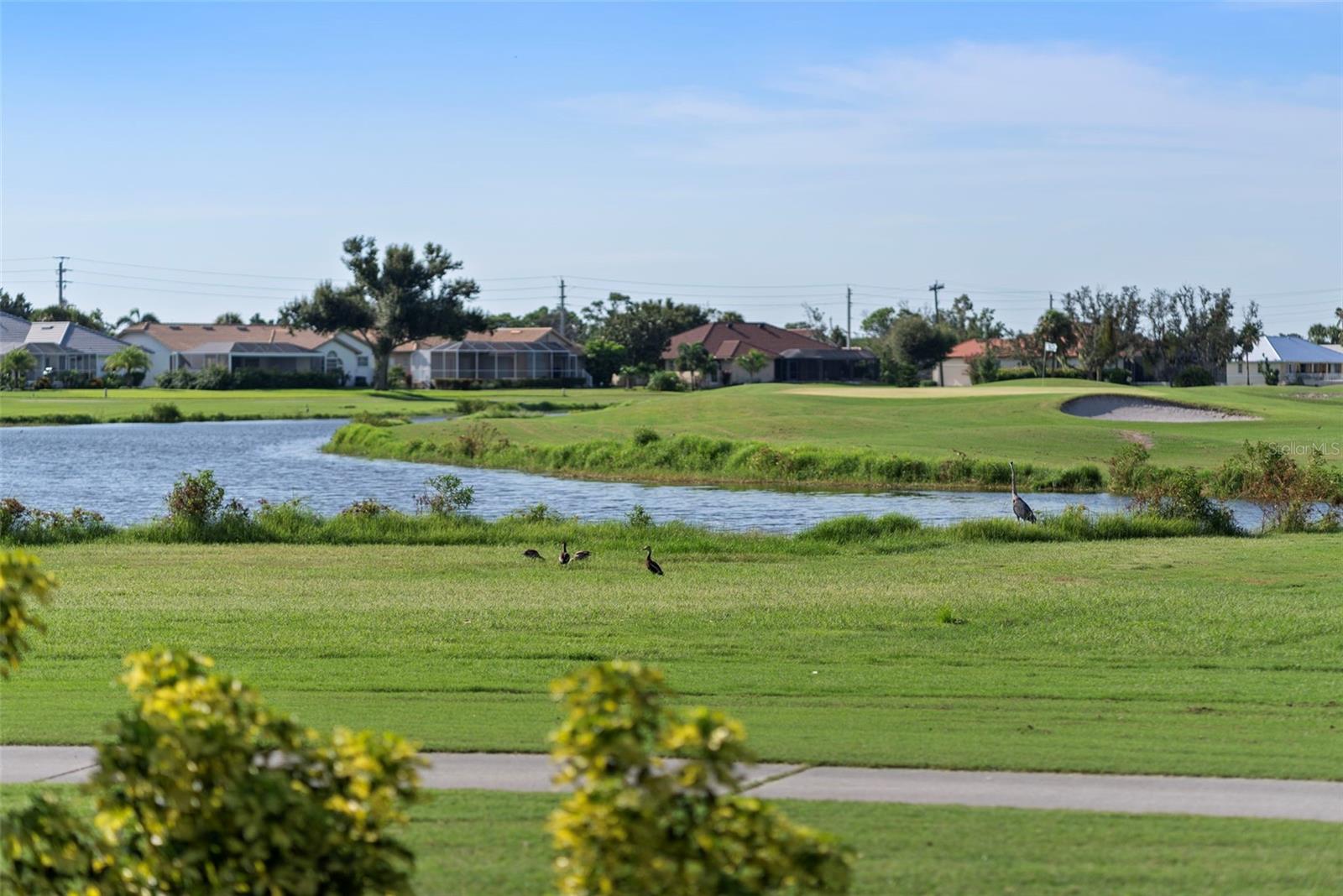 Image 68 of 94 For 10 Coral Creek Place