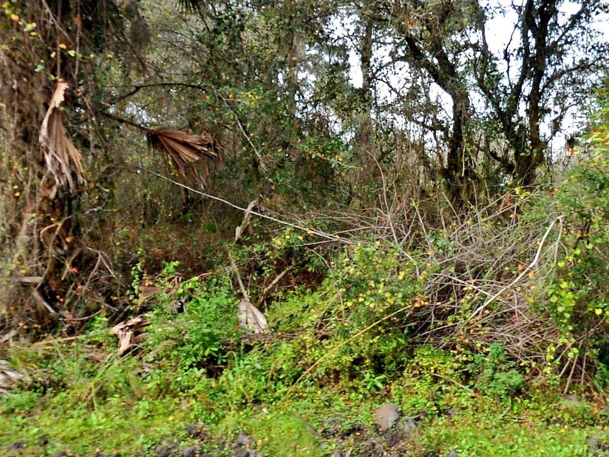 Image 2 of 2 For Padgette Street