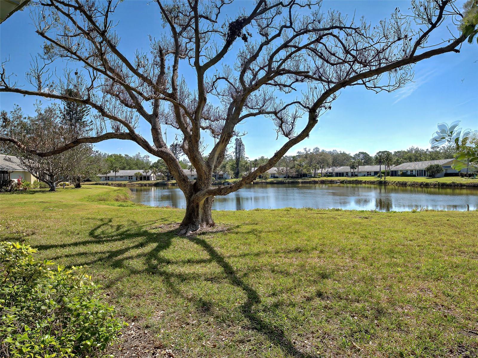 Image 4 of 74 For 220 Southampton Drive  325