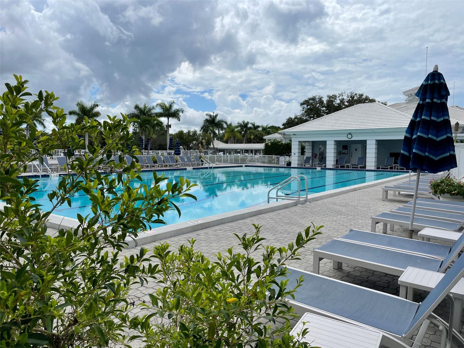 Image 42 of 74 For 220 Southampton Drive  325