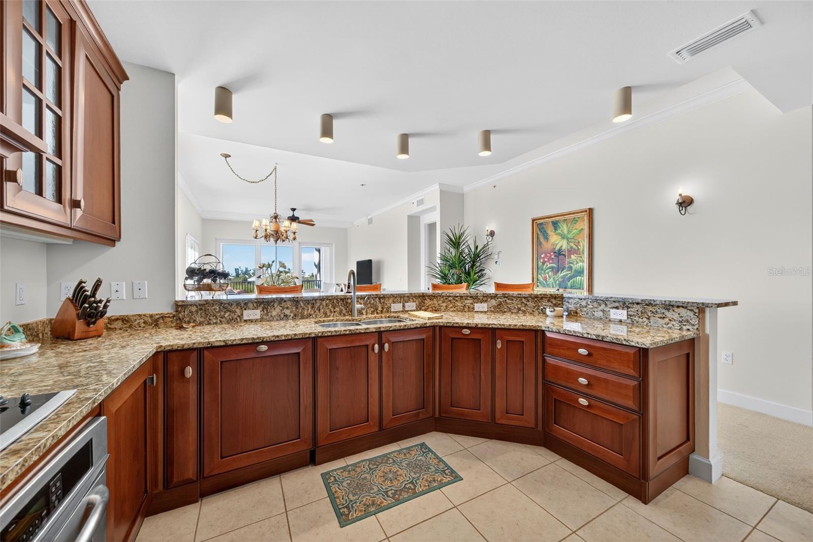 Image 19 of 80 For 11160 Hacienda Del Mar Boulevard D-301