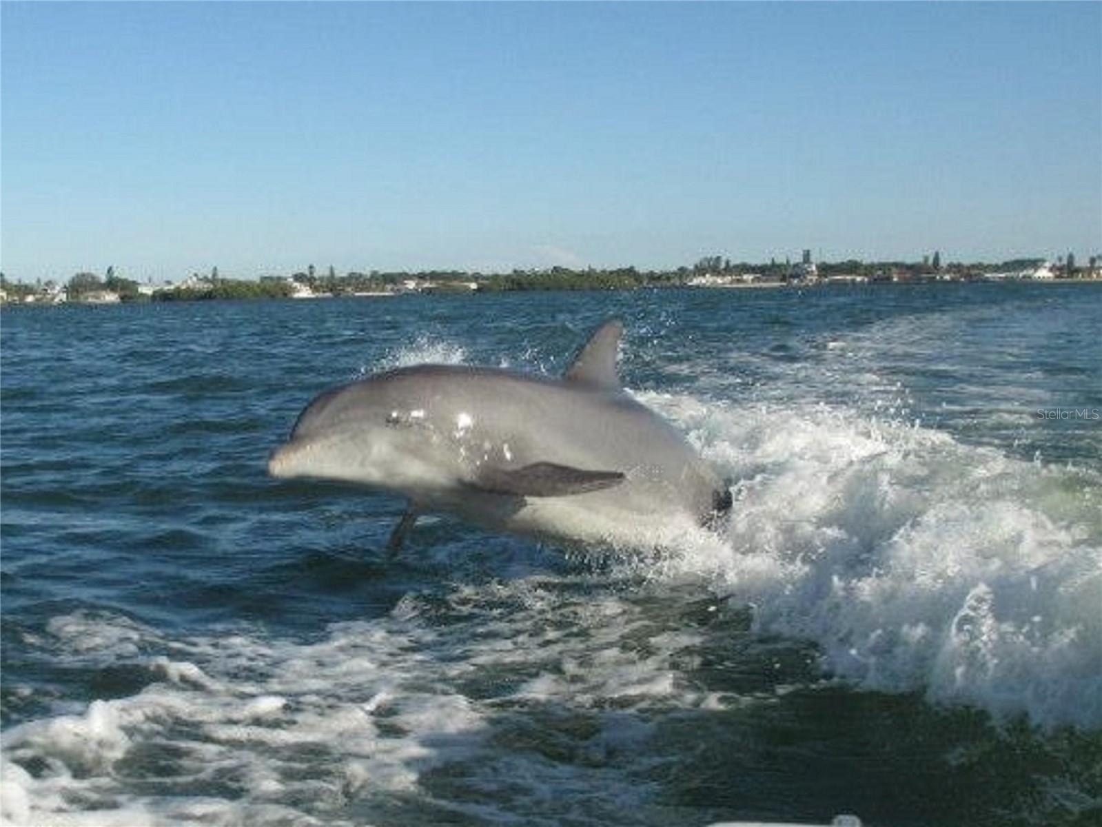 Image 84 of 100 For 610 Apple Lane