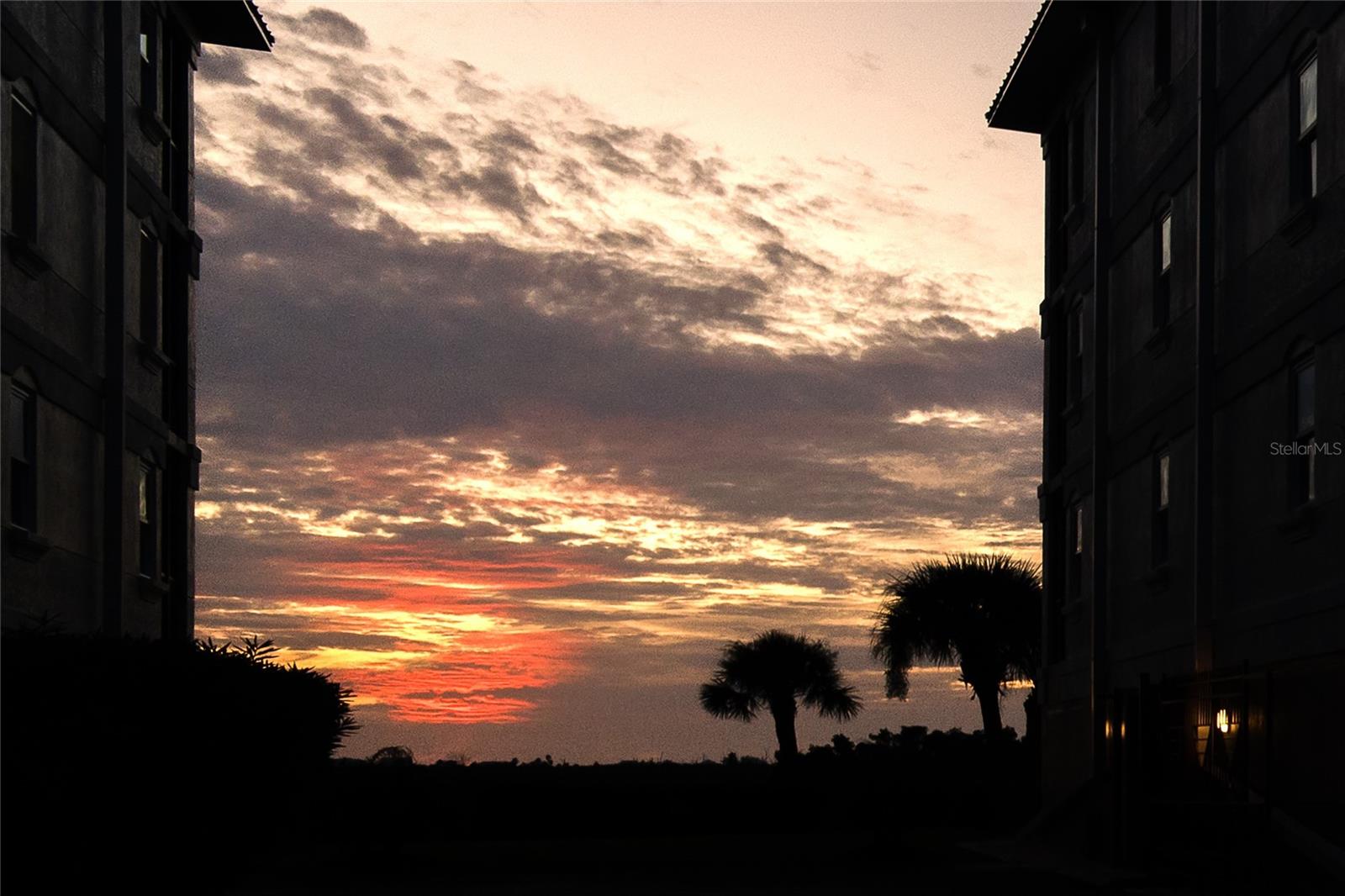 Image 78 of 81 For 9203 Griggs Road B202