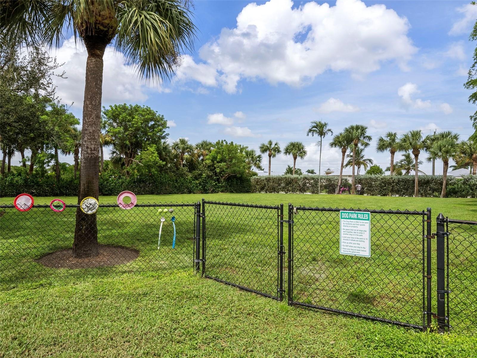 Image 42 of 57 For 11160 Hacienda Del Mar Boulevard D-205