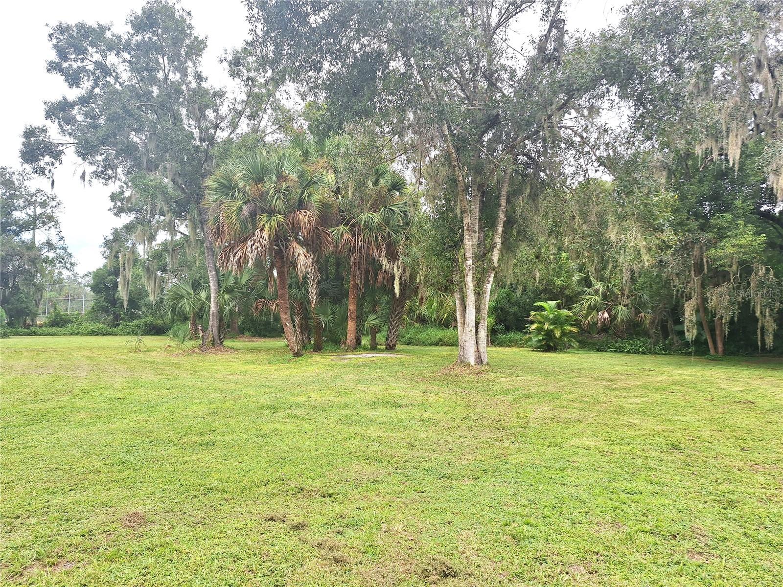 Image 31 of 32 For 102 Virginia Street