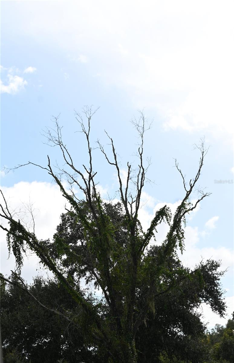 Image 58 of 60 For 5378 Dunsmuir Road