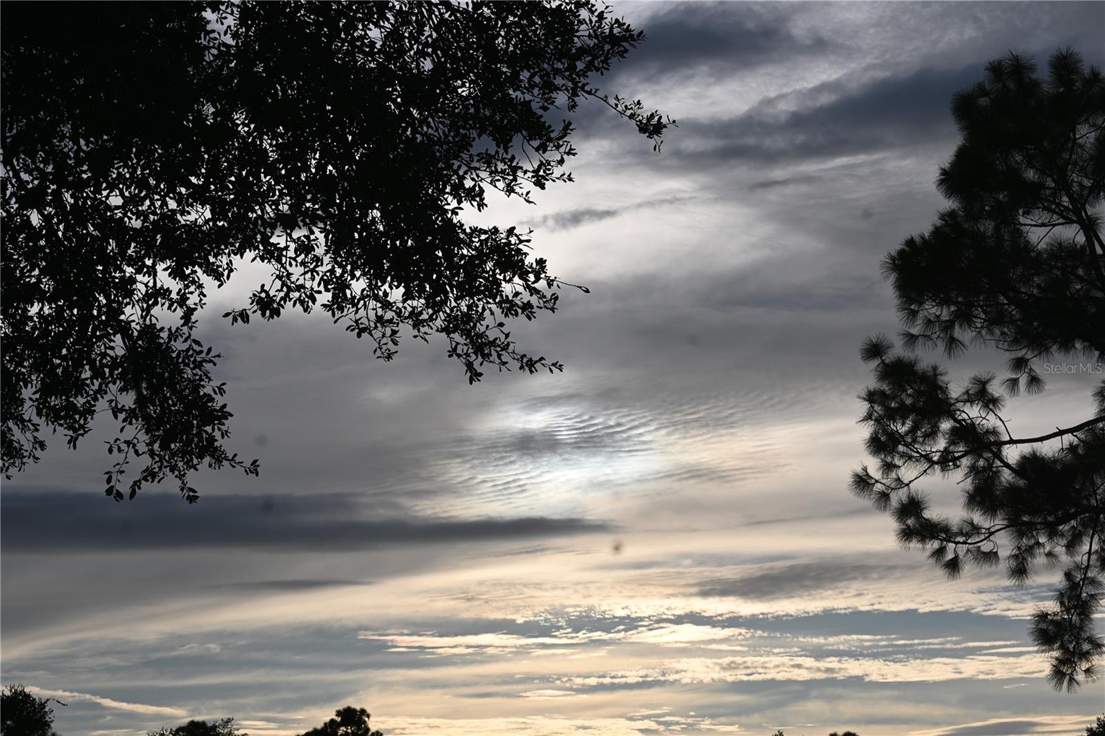 Image 59 of 60 For 5378 Dunsmuir Road