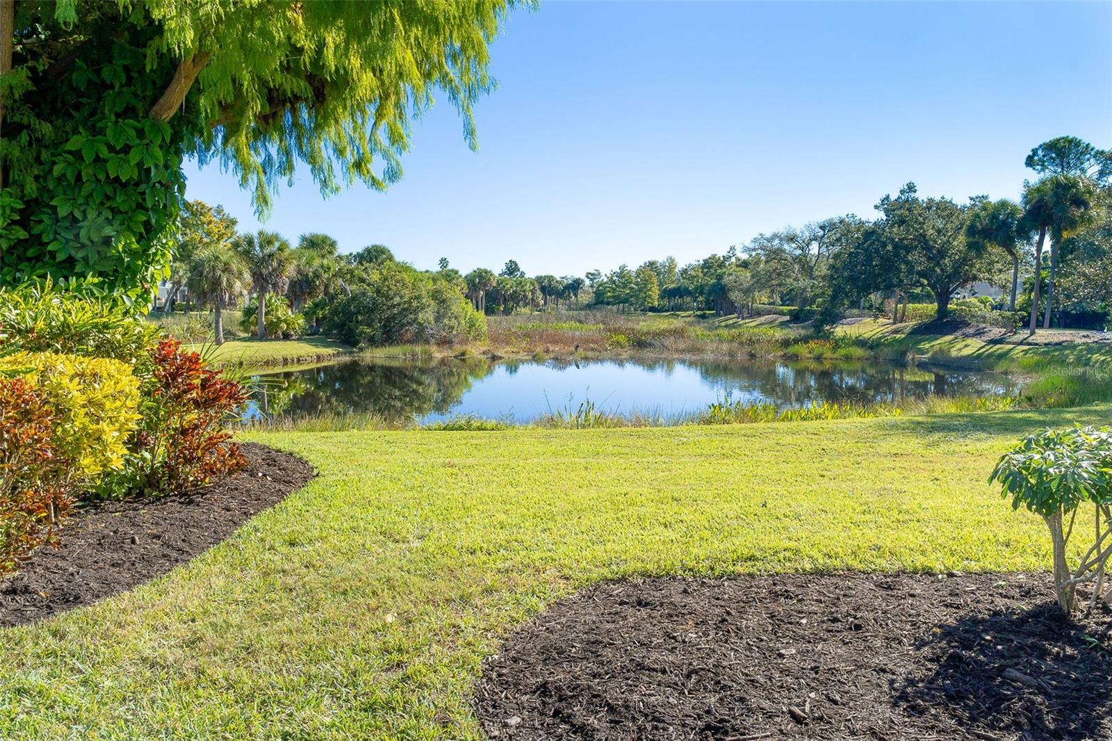 Image 27 of 86 For 1 Cayman Isles Boulevard