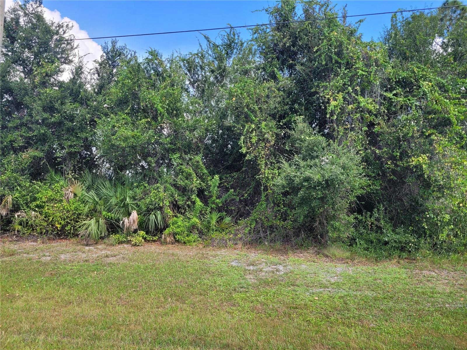 Details for 107 Antilla Drive, ROTONDA WEST, FL 33947