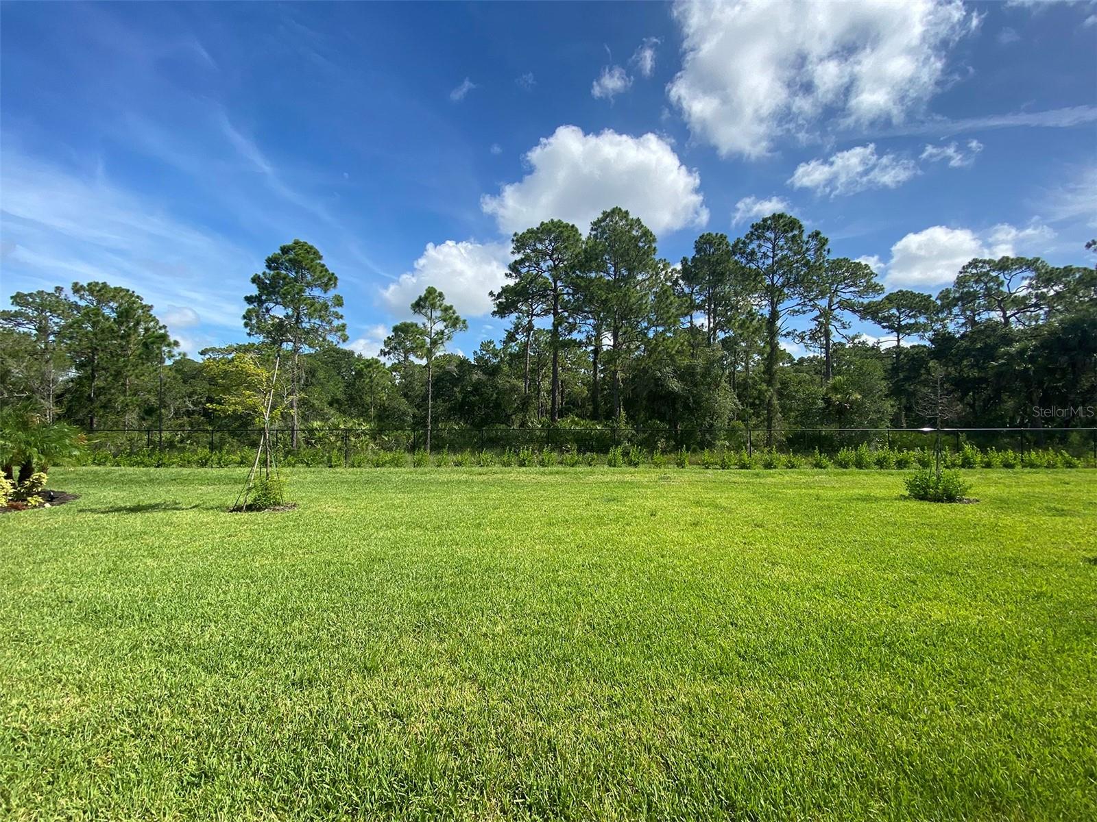 Image 27 of 43 For 15936 Honeysuckle Street