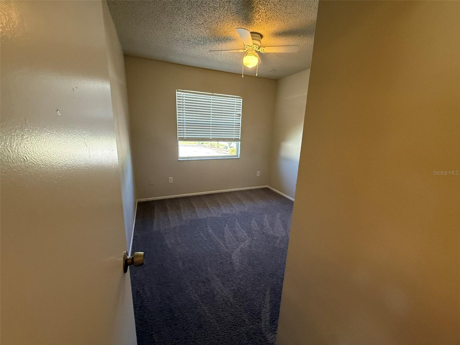 Image 12 of 15 For 177 Cowles Street