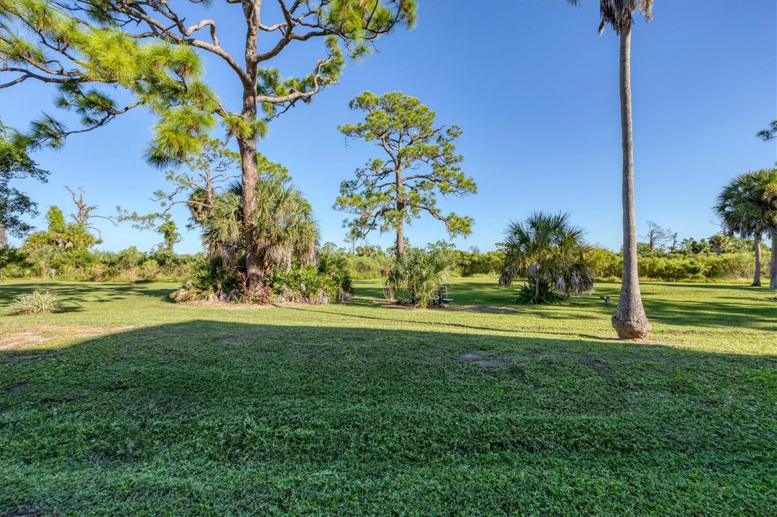 Image 38 of 56 For 6610 Gasparilla Pines Boulevard 125