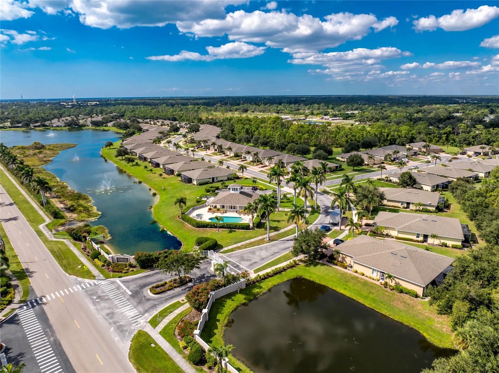 Image 65 of 65 For 29710 Niagara Court