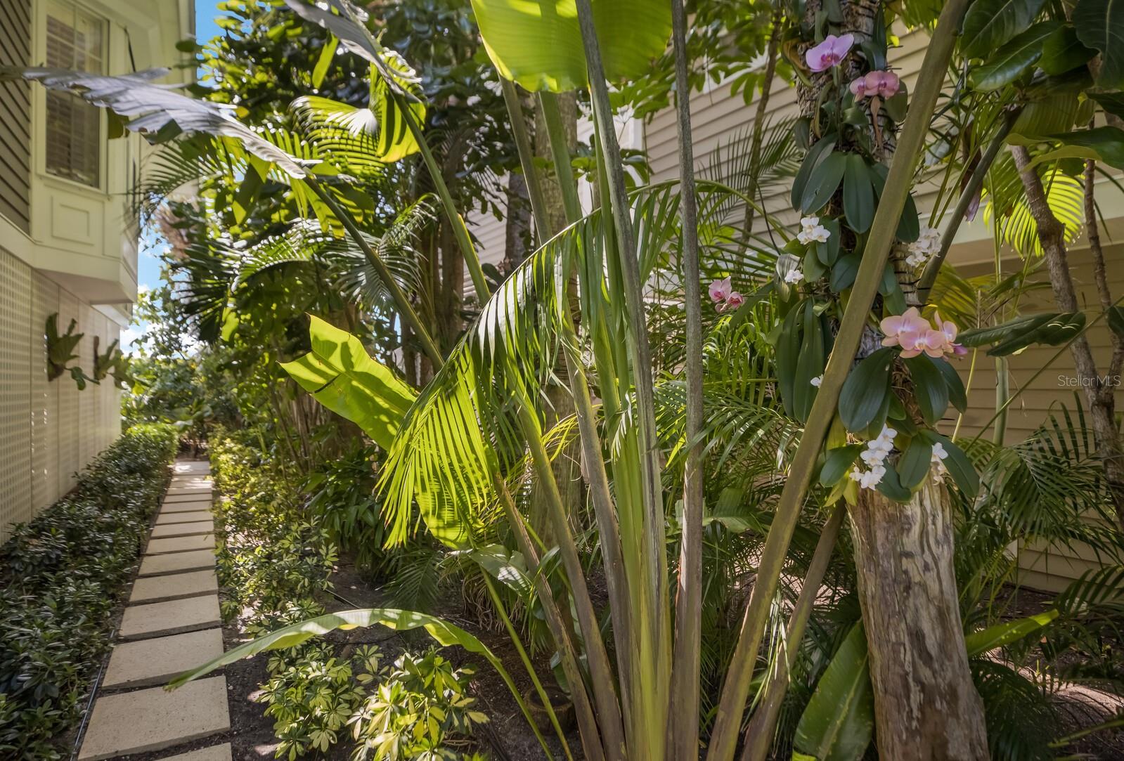 Image 42 of 86 For 521 Buttonwood Bay Drive