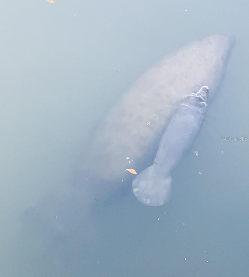 Image 34 of 48 For 170 Gulf Boulevard 3