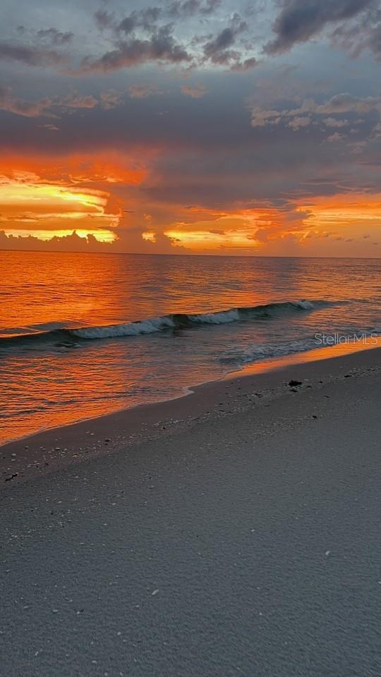 Image 35 of 48 For 170 Gulf Boulevard 3