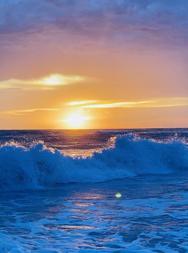 Image 40 of 50 For 170 Gulf Boulevard 4