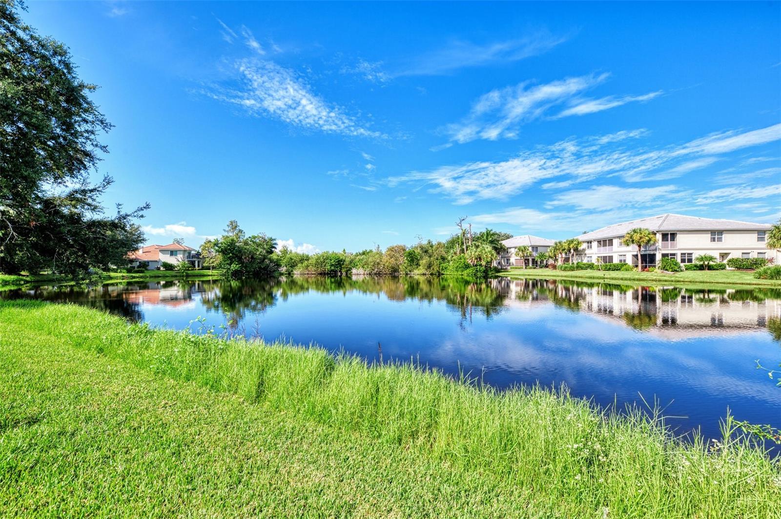 Image 48 of 88 For 3413 Pennyroyal Road