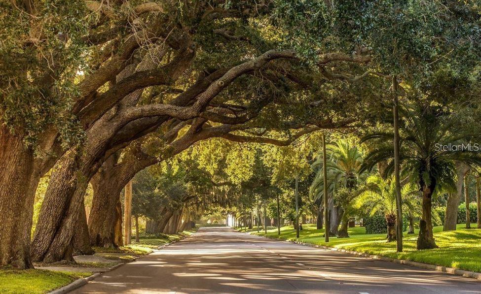 Image 55 of 55 For 2521 Northway Drive