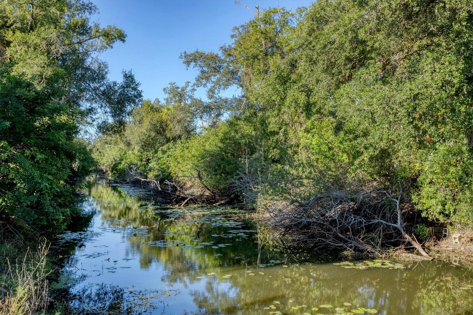 Image 41 of 48 For 4819 Ariton Road