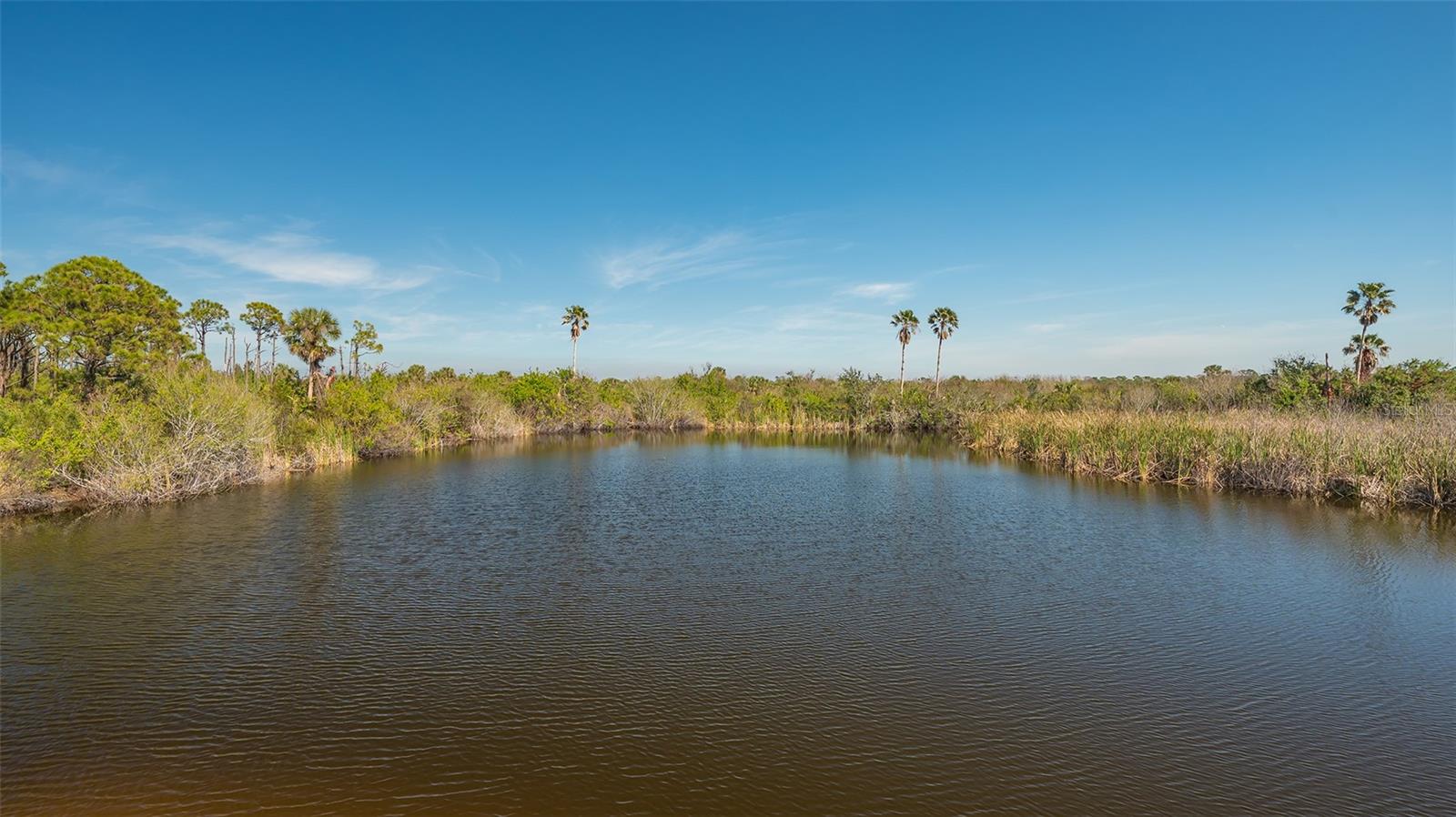 Image 53 of 65 For 10045 Links Lane 203