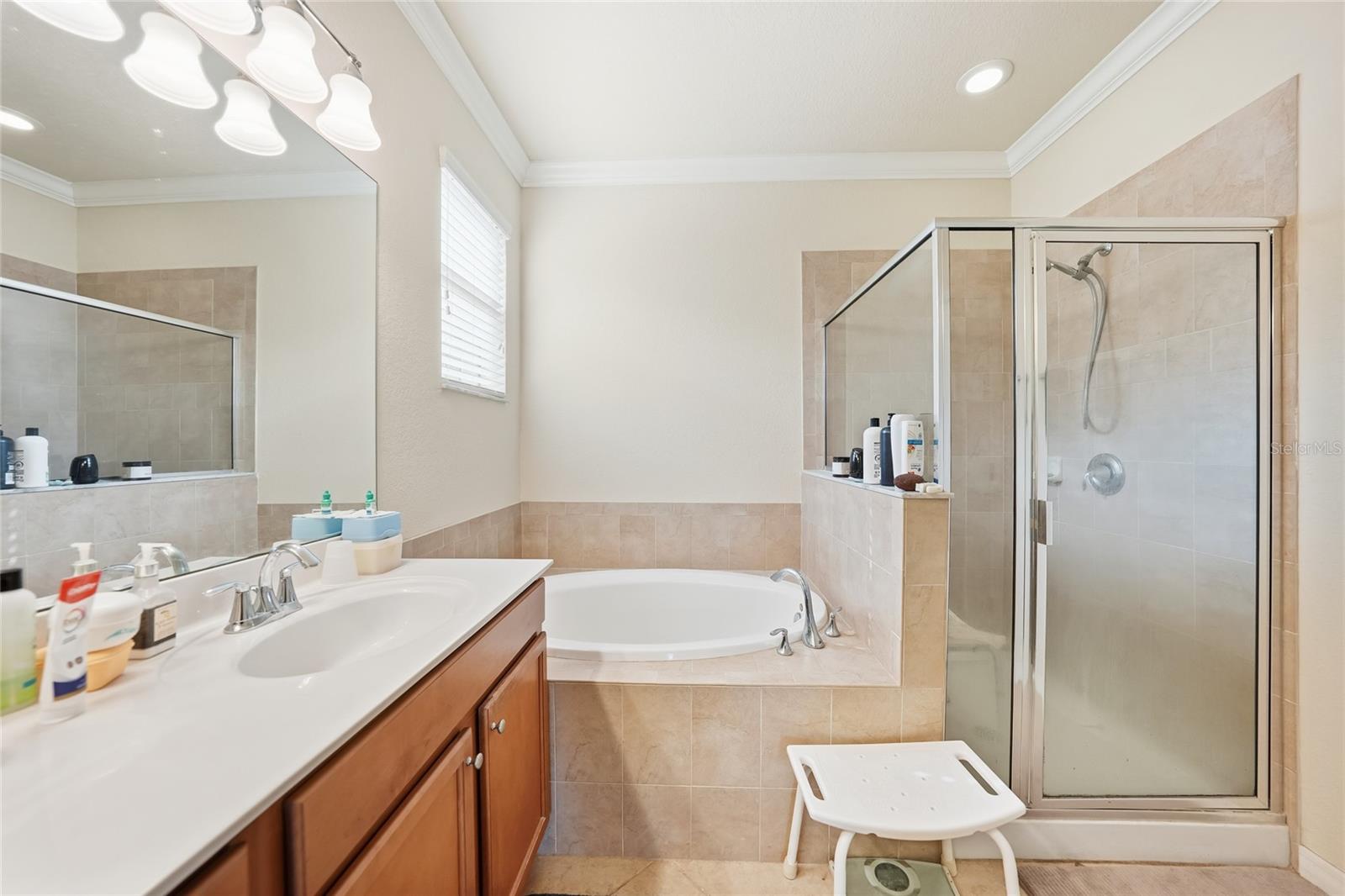 Image 18 of 77 For 11720 Spotted Margay Avenue