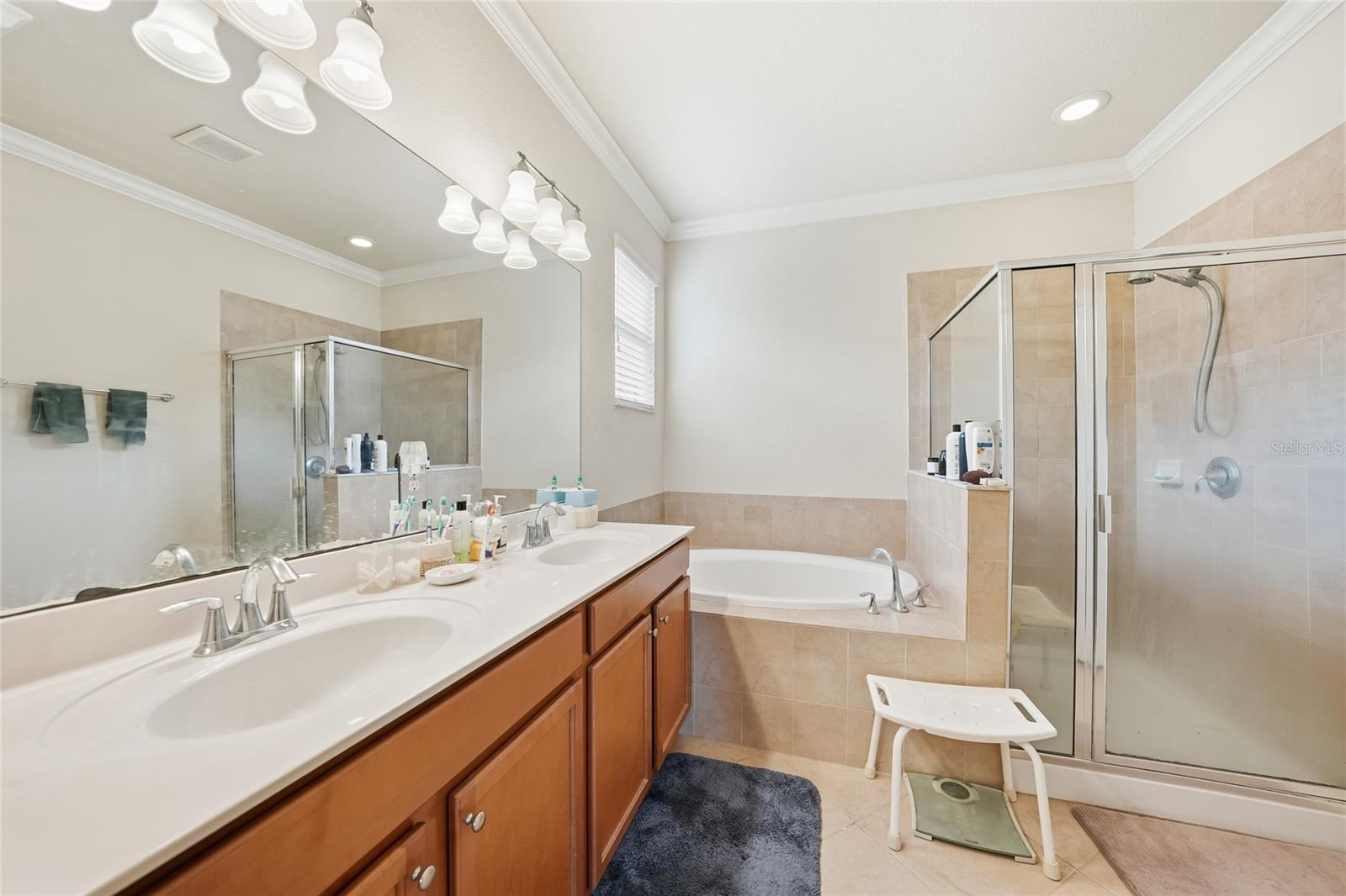 Image 20 of 77 For 11720 Spotted Margay Avenue