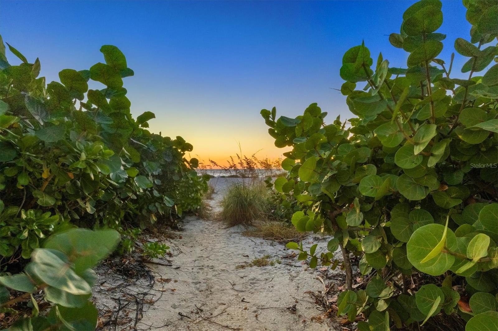 Image 49 of 49 For 290 Gulf Boulevard 18